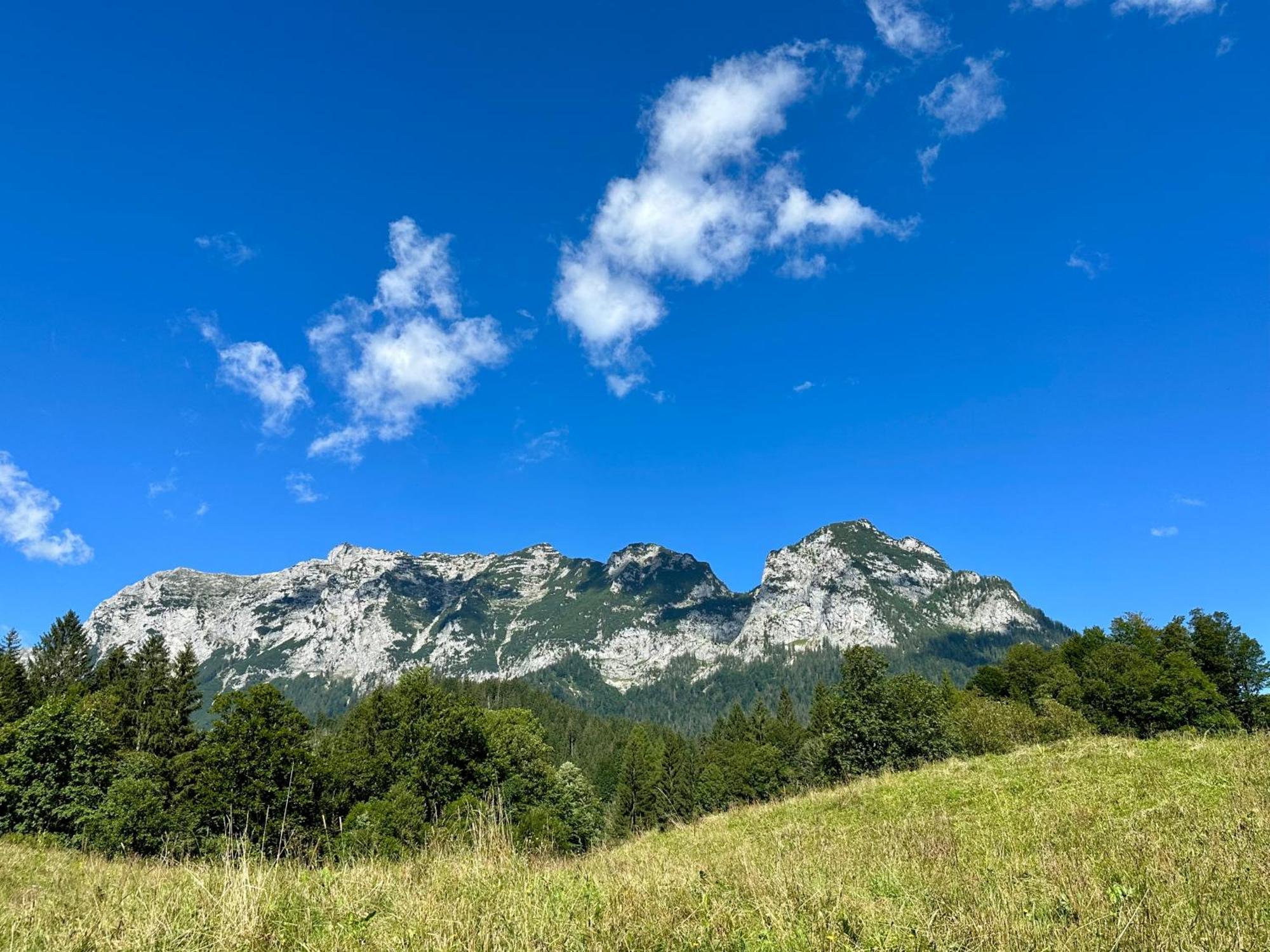 Haus Bergwelten Ramsau - Hintermuehle راماسو المظهر الخارجي الصورة